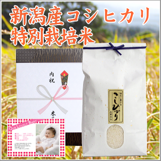 出産内祝い お米 新潟産コシヒカリ【特別栽培米】2kg