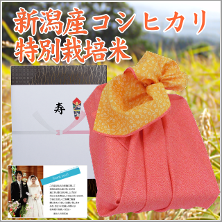 結婚式 引き出物のお米 新潟産コシヒカリ【特別栽培米】3kg