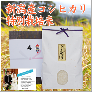 結婚式 引き出物のお米 新潟産コシヒカリ【特別栽培米】2kg