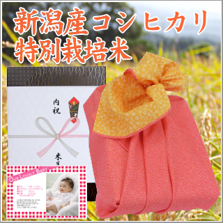 出産内祝い お米 新潟産コシヒカリ【特別栽培米】3kg