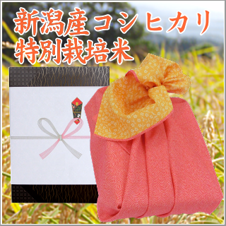 長寿祝い お米 新潟産コシヒカリ【特別栽培米】3kg