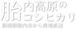 新潟県産 胎内高原のコシヒカリ