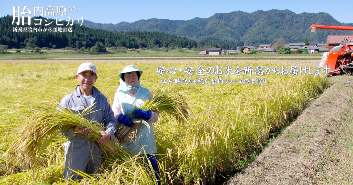 新潟県産コシヒカリ - 新潟県胎内市 胎内高原からコシヒカリを