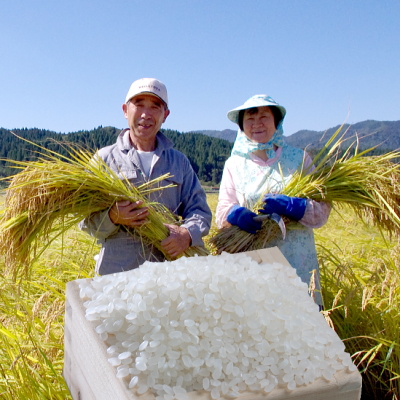 特別栽培米 白米
