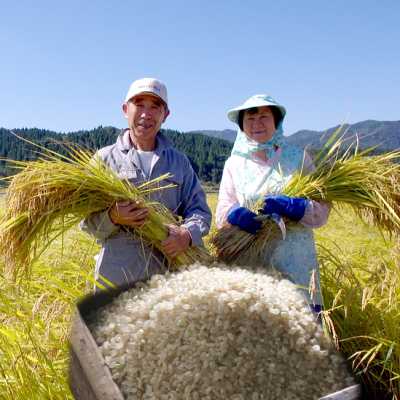 特別栽培米 玄米