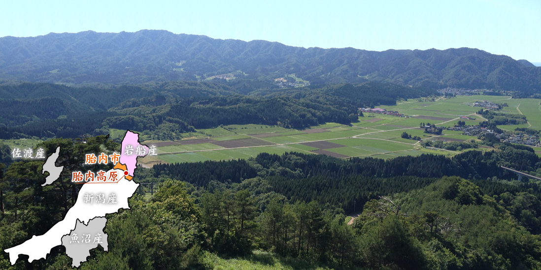 胎内高原の位置