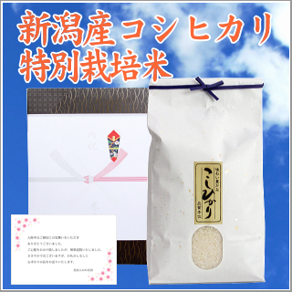 快気祝い お米 新潟産コシヒカリ【特別栽培米】3kg