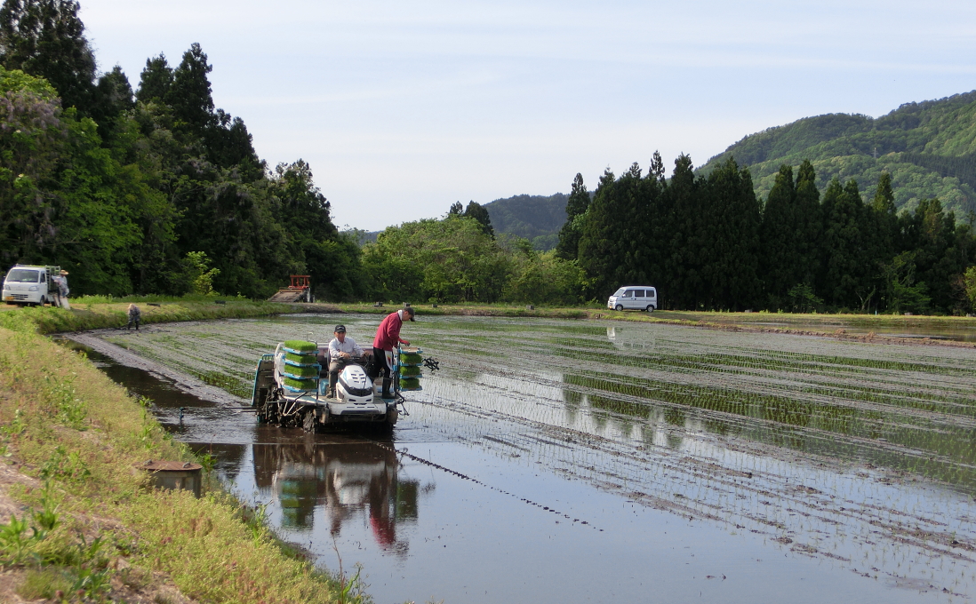 令和3年産 田植え