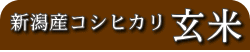 �V���Y�R�V�q�J�� ����