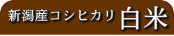 �V���Y�R�V�q�J�� ����