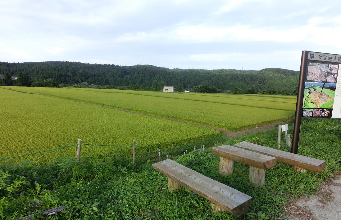 縄文の清水