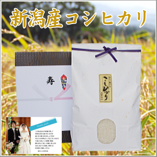 結婚式 引き出物のお米 新潟産コシヒカリ 5kg